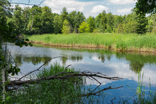 Natural landscape of an oxbow lake near to a river of bug photo