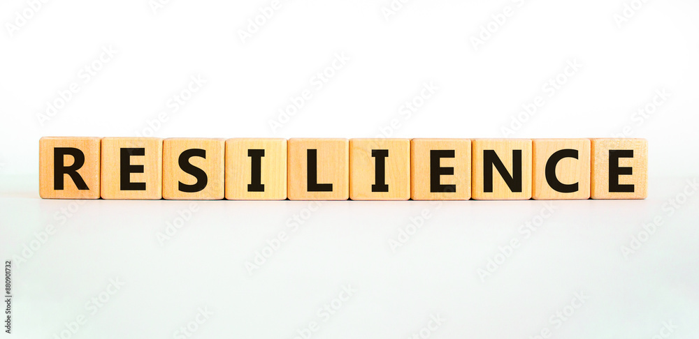 Resilience symbol. Concept word Resilience on beautiful wooden blocks. Beautiful white background. Business resilience concept. Copy space. Resilience symbol. Concept word Resilience on beautiful wooden blocks. Beautiful white background. Business resilience concept. Copy space.