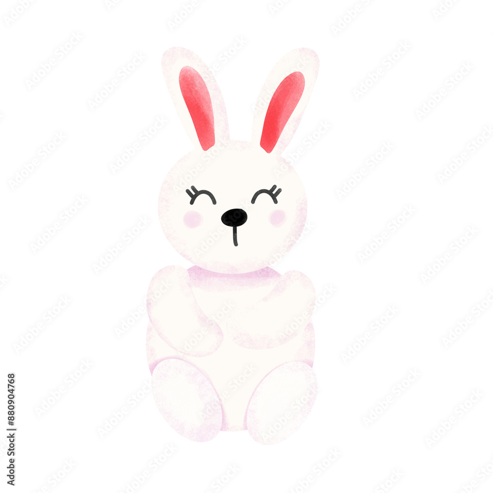 rabbit isolated on white rabbit isolated on white