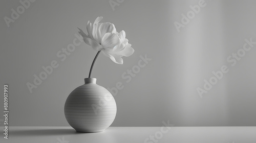 A white flower is in a white vase