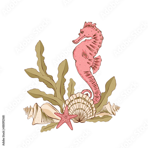 Aquarium composition with a shell, a bush of algae and a seahorse. Undersea world. Hand drawn illustration in flat style. Isolated on white background, packaging design, print, textile