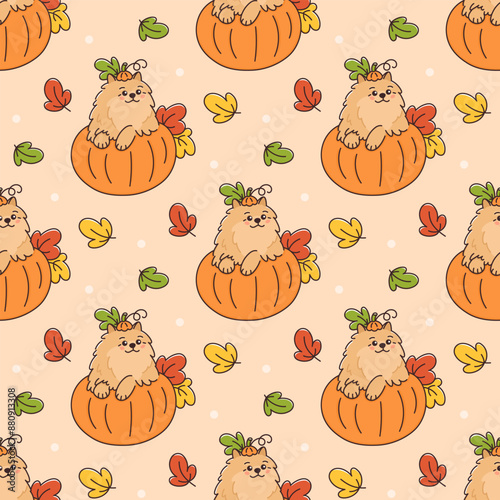 Seamless pattern with cute and funny Pomeranian spitz dog sitting in pumpkin. Background with puppy and leaves for Thanksgiving, Harvest and other autumn holidays