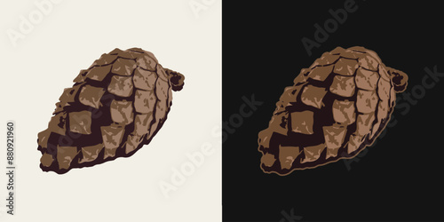 Pine, cedar cone. Image tracing, cleaned and simplified illustration. Realistic style. Not AI.