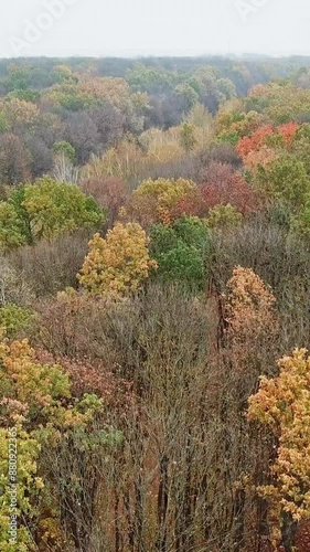 Top of trees in autumn landscape. Drone flight over the colorful forest into the road with machinery during asphalting. Aerial view. photo