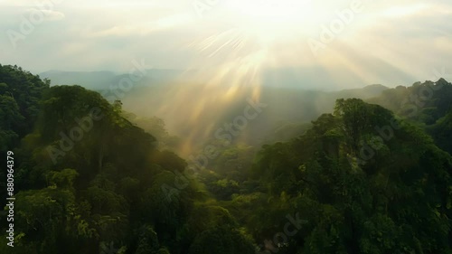 The canopy seems to go on forever hinting at the vastness and endlessness of the rainforest that lies below.