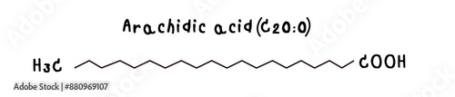 molecular structure of fatty acid Arachidic acid illustration