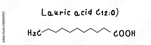 molecular structure of fatty acid Lauric acid illustration