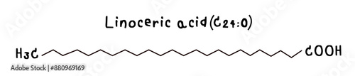 molecular structure of fatty acid linoceric acid illustration