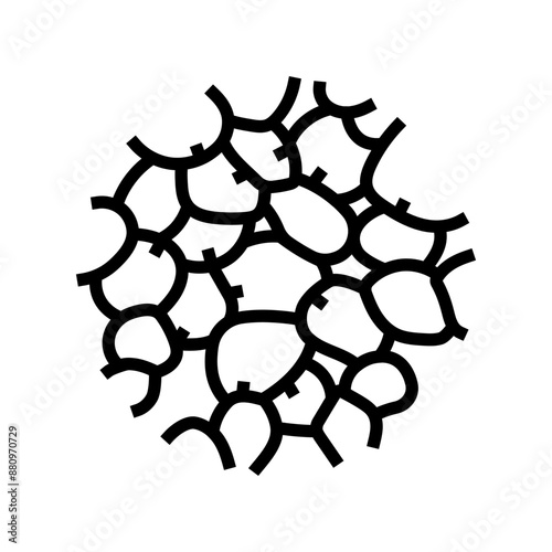 adipose tissue obesity overweight line icon vector. adipose tissue obesity overweight sign. isolated contour symbol black illustration