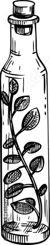 Herbs in glass bottle sketch. Witchcraft vector illustration. Vintage Halloween icon