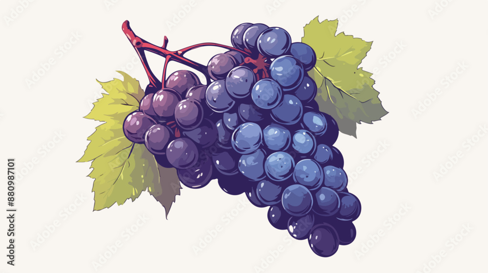 Obraz premium Bunch of grapes sketch icon for web mobile 