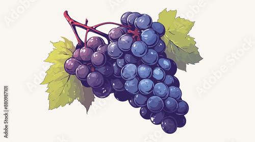 Bunch of grapes sketch icon for web mobile 