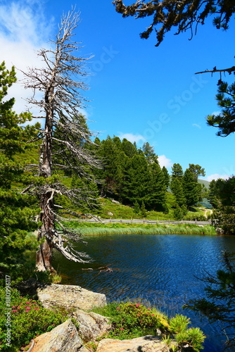 Ausflugsziel Windebensee, an der Nockalmstraße photo