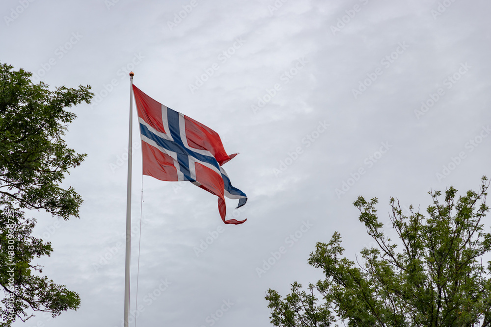 Norwegian Flag