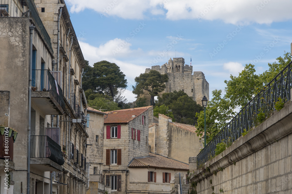 Obraz premium Le château de Beaucaire est un ancien château fort qui se dresse au bord du Rhône, sur la commune française de Beaucaire, dans le département du Gard, en région Occitanie.