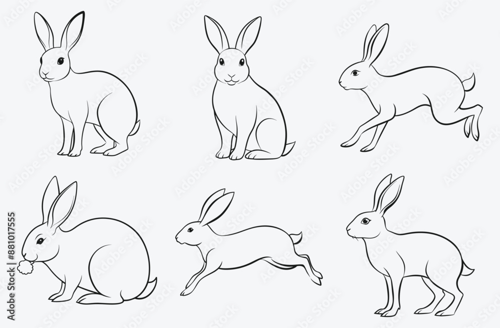 Fototapeta premium Ultimate Hare Line Art Set Vector, Exquisite and Detailed Designs