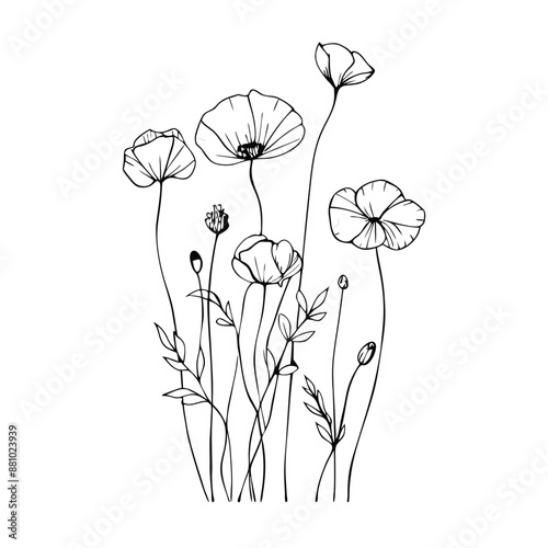 botany abstract poppies in a line art style. isolated on a white background 