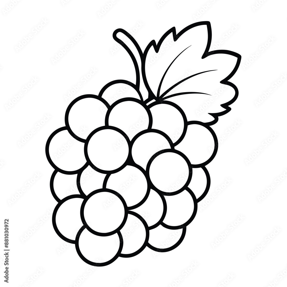 grapes line art illustration on a white background, grapes line art illustration on a white background,