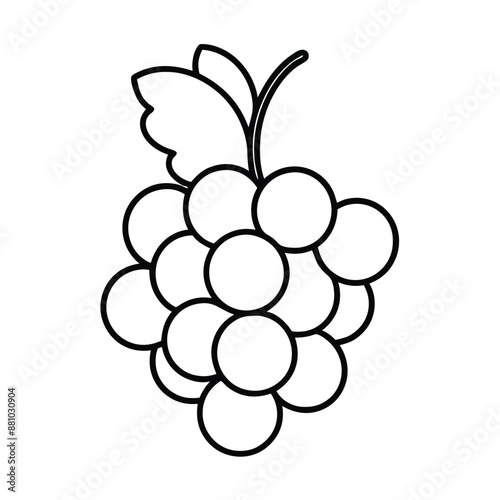 grapes line art illustration on a white background,