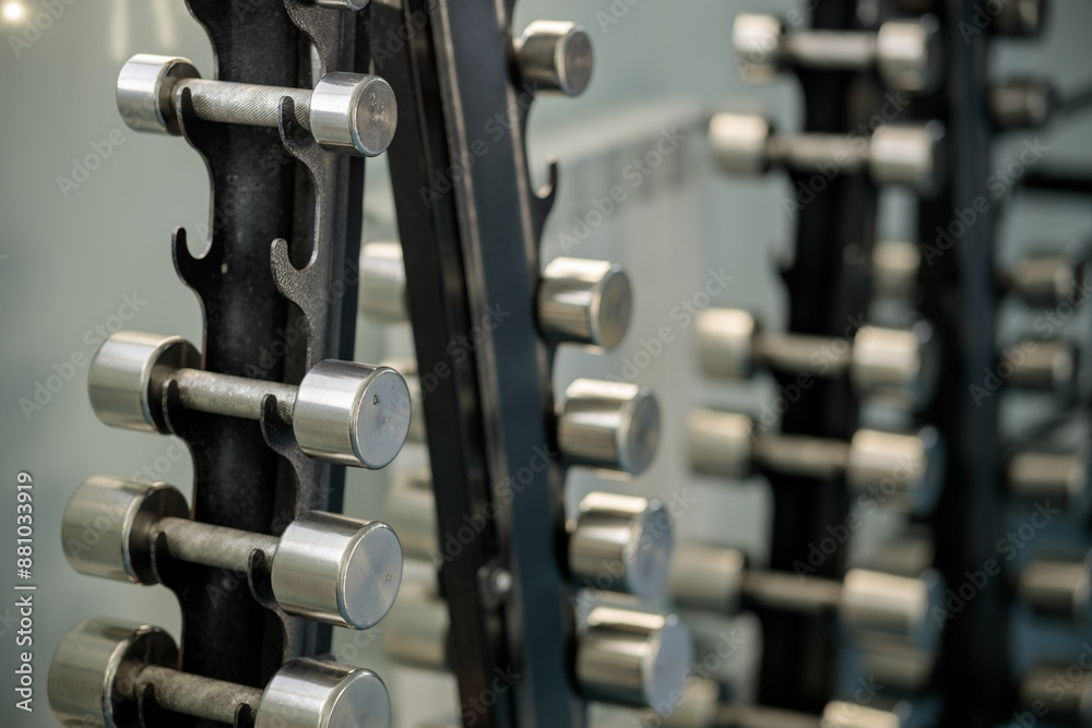 A row of dumbbells are lined up on a rack A row of dumbbells are lined up on a rack