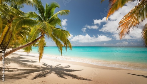 sunny tropical beach summer holidays vacation caribbean beach with turquoise water background © Dayami