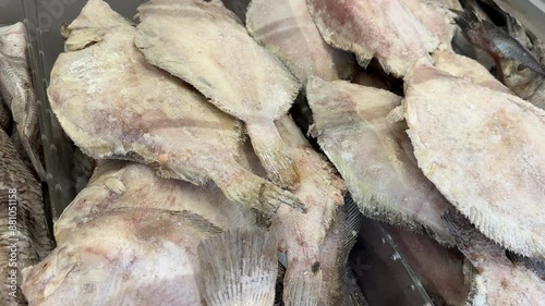 frozen fish in the fridge