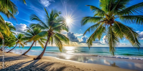 Palm Trees Frame Tropical Beach with Sun,  Palm Trees, Tropical Beach, Summer Vacation, Ocean photo