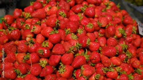 Picking ripe red strawberries, close-up, strawberries at a farmers market. Isolated fresh strawberry. Vegetarian food. Abstract strawberry background. Berries, Fruits.