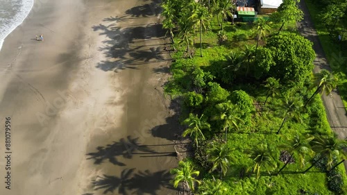 Shadows of Palm Trees on the Beach