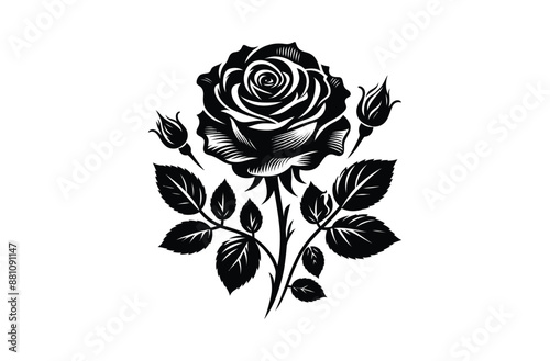Rose silhouette Vectors art  illustration