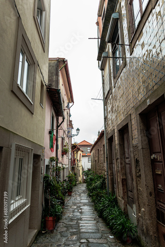 Alley between houses with plants, Porto