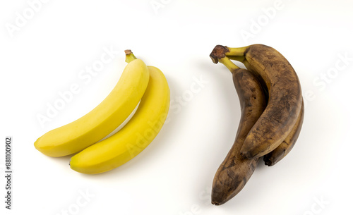 Fresh and rotten bananas. The concept of spoiled fruit.