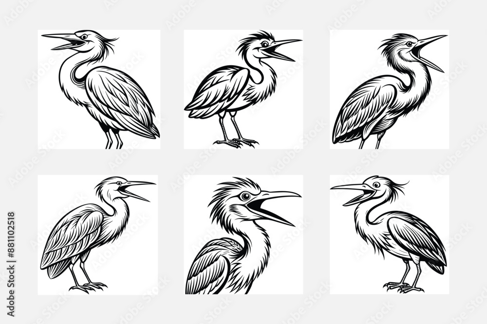 Naklejka premium collection of birds