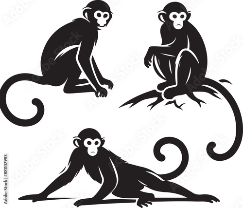 black and white background of a monkey