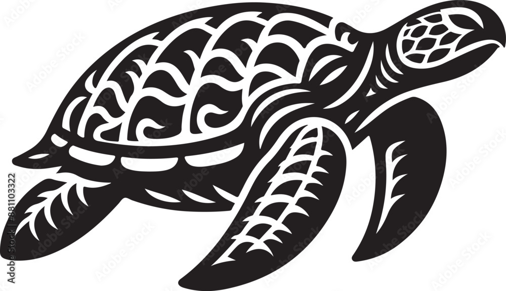 illustration of turtle illustration of turtle