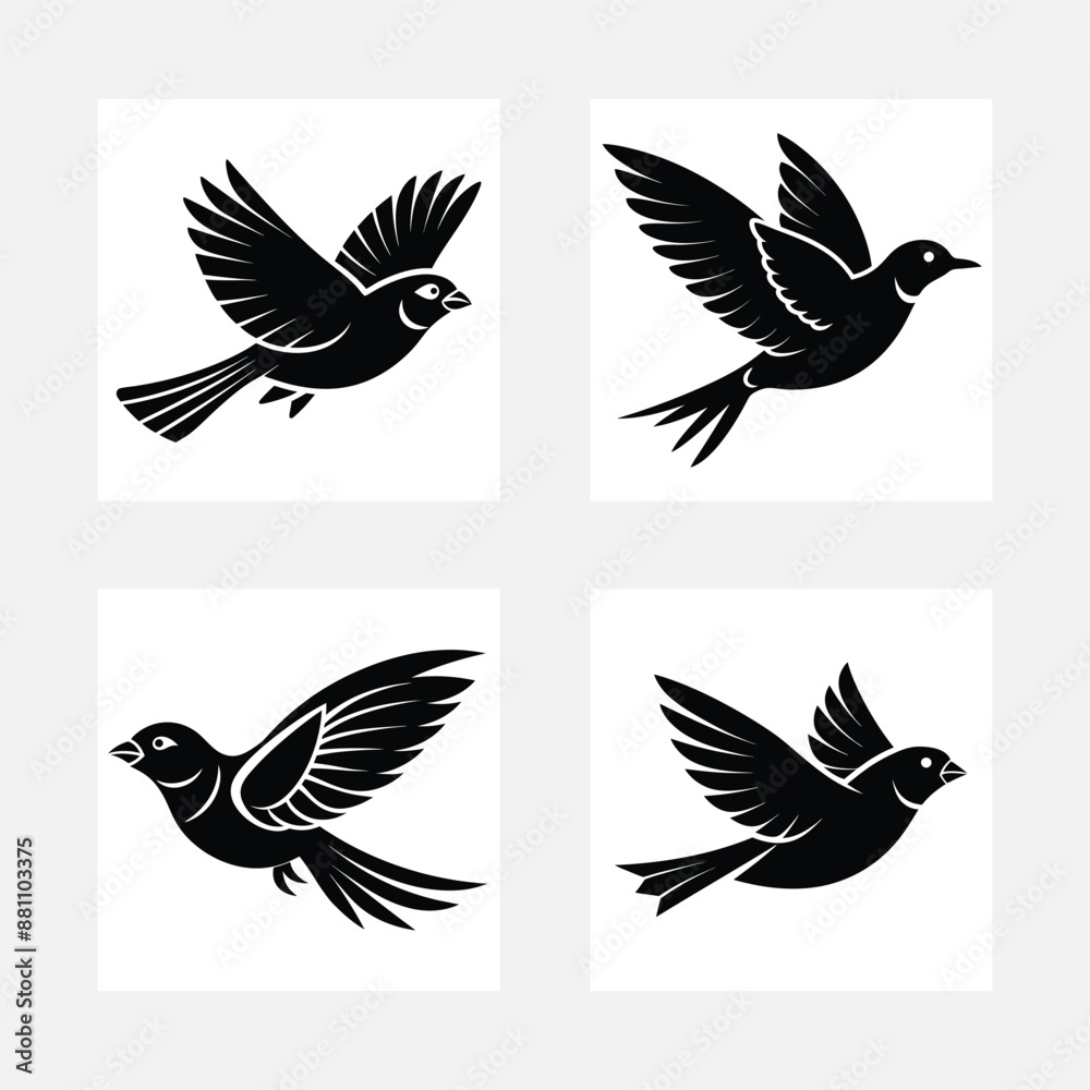 Fototapeta premium set of birds