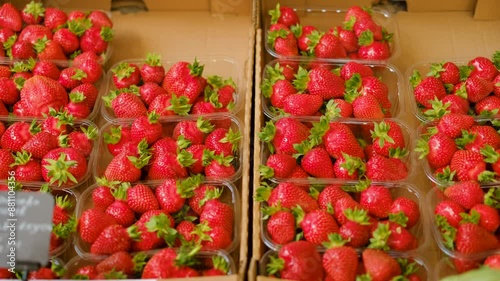 Strawberry. Harvest of ripe red strawberries at a street market, beautifully laid out. Sweet and tasty red fresh berries. Vegetarian food, nutrition concept. Strawberry fruit background close up