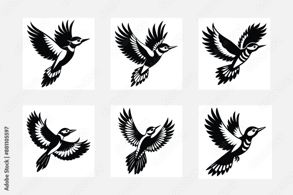 Obraz premium set of silhouettes of wings