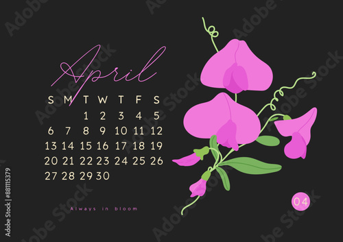 Horizontal calendar page for April 2025 with spring sweet pea flower. Isolated on black background. Week starts on Sunday. Vector illustration flat cartoon plant