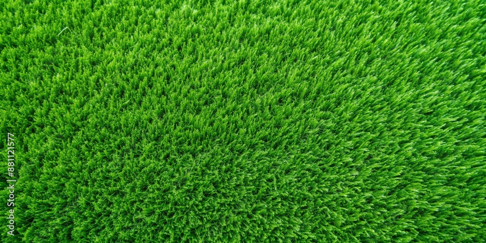 Close-up View of Lush Green Grass - A close-up view of lush green grass, showcasing the intricate details and texture of the blades. - A close-up view of lush green grass, showcasing the intricate det Close-up View of Lush Green Grass - A close-up view of lush green grass, showcasing the intricate details and texture of the blades. - A close-up view of lush green grass, showcasing the intricate det
