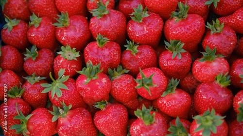 Strawberry. Harvest of ripe red strawberries at a street market, beautifully laid out. Sweet and tasty red fresh berries. Vegetarian food, nutrition concept. Strawberry fruit background close up