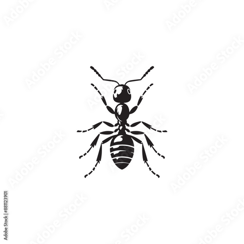 illustration of a ant