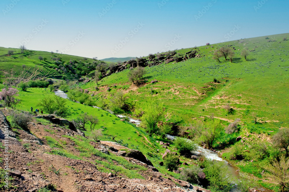Fototapeta premium Majestic Flows: Exploring the Untouched Rivers of the Highlands.