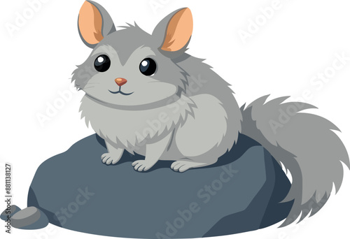 Gray chinchilla lying on the ground