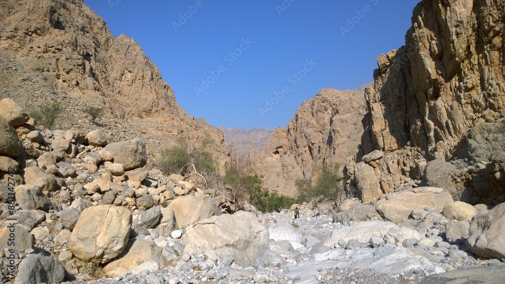 Fototapeta premium rocks in the desert