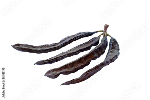 Beans of the carob (Ceratonia siliqua) in summer photo