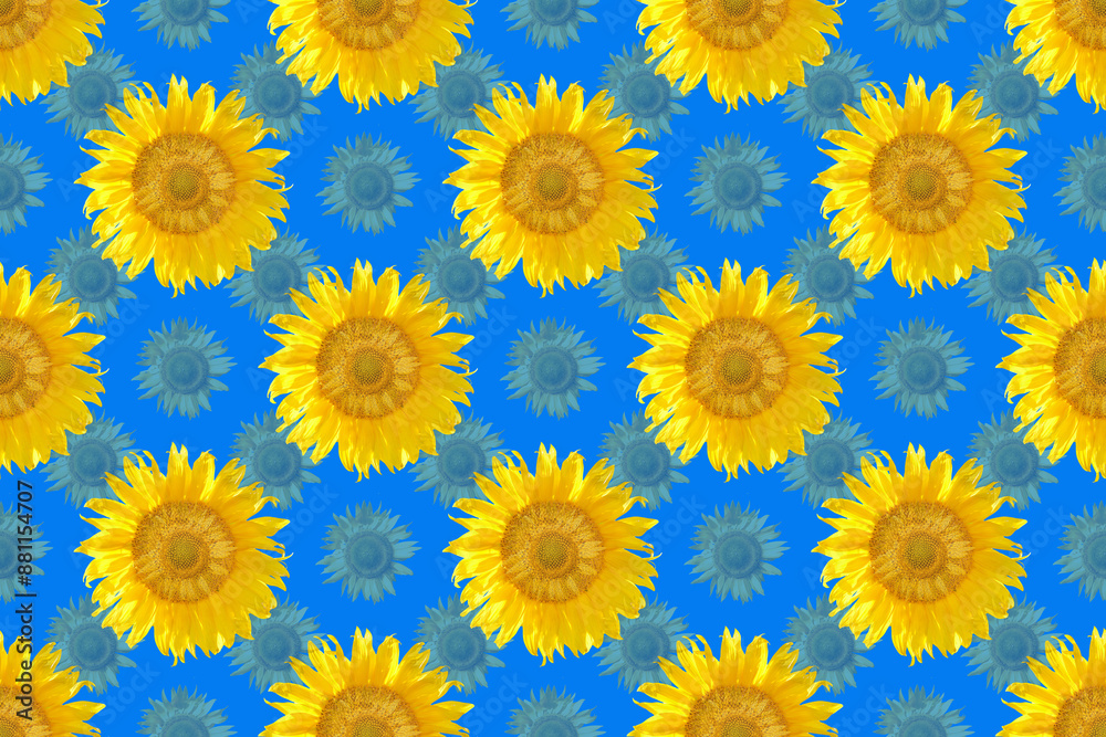close up sunflower flutters in the wind in blue sky as background close up sunflower flutters in the wind in blue sky as background
