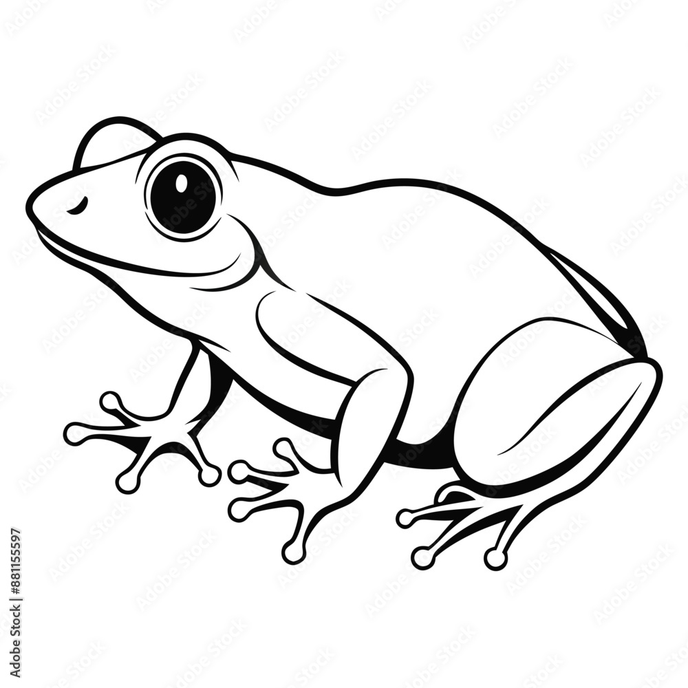 frog line art, isolated on a white background frog line art, isolated on a white background
