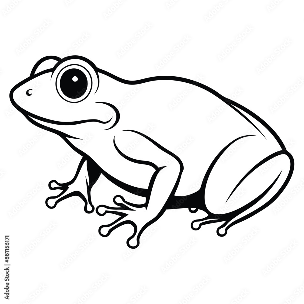 frog line art, isolated on a white background frog line art, isolated on a white background