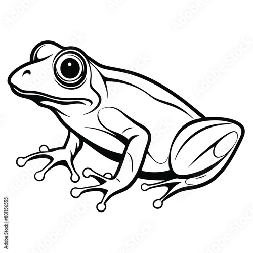 frog line art, isolated on a white background